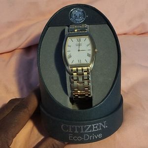 Men's citizen eco-drive watch